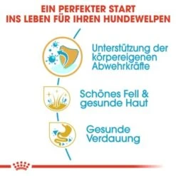 ROYAL CANIN Golden Retriever Puppy 12 Kg -Zoofachgeschäft cb6ceb5c2c0348785b37349290f73d5d5a660141 9a400f77f339333ff4f9079df0935bb9039a62ba