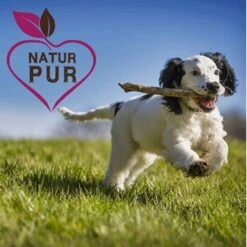 Fit-Crock Active Lamm Mini 10 Kg -Zoofachgeschäft d086dad7100dbdf41486dc1e184e8b3e19e70f2f 1669874 de DE e6cef6c805493de794606a88a99e94e07eba83d7iihYJV