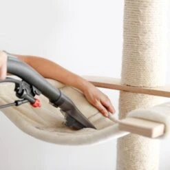 THOMAS AQUA FleckWasher -Zoofachgeschäft d0f5e8f3d8704727ae9f8d622c7075b7c423576b 1652086 de DE 2671b0968ff1af964b9b936f18c15a3e715921d8OZmc0o