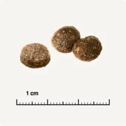 REAL NATURE WILDERNESS Adult Probierpaket Mixpaket 1, Mix-Pack 15 REAL NATURE WILDERNESS Adult Probierpaket Mixpaket 1, Mix-Pack -Zoofachgeschäft d13ec079dfc733868201f90c68c1160fb8a8b3ec 1267094 de DE 6