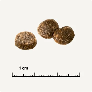 REAL NATURE WILDERNESS Adult Probierpaket Mixpaket 1, Mix-Pack 8 REAL NATURE WILDERNESS Adult Probierpaket Mixpaket 1, Mix-Pack – Bild 8