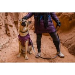 Ruffwear Overcoat Fuse™ Hundejacke Violett XXS -Zoofachgeschäft d3f94d44f6e67346b4db3fd52a9a9b783d58a1b6 1639761 de DE f363d728c6c2883bd7afb3f30f0490bc0ed64f63oUWWPq