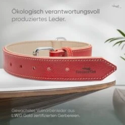 Freudentier Gefüttertes Halsband Aus Leder Rot L -Zoofachgeschäft d409cad84e2e26e5e855246f3d62526ca2fa7cd7 1655241 de DE b688ee419d994f89d4885d7f15c32b5b6f7cc00bZYodZu