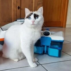 THOMAS Staubsauger -Zoofachgeschäft d74e3cdb93ec3dcec33da8a346880210d1823b1e 1406733 de DE 817045830cc32e31da1f6ec74c9727ecafc6b086XIONN0