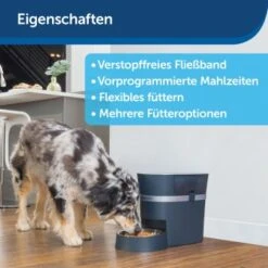 PetSafe Futterautomat Smart Feed -Zoofachgeschäft d75d18a8d69305d41cdc15b6cd1407ea0bf1197e 1418722 de DE b6612f513df2cce528e0e17914e20260d63a2356T5GctK