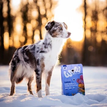 WOW Adult Lamm Mit Salbei 6 Kg 2 WOW Adult Lamm Mit Salbei 6 Kg – Bild 2