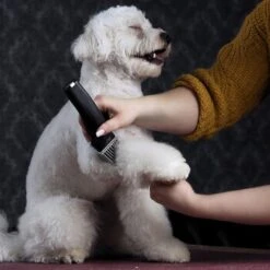 Moser Schermaschine Arco Pro -Zoofachgeschäft d94979d61f2023cf0118c8257a8bd4066fa8858b ed4a0b808fc43743a84927566ac43a708eadd5ba