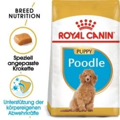 ROYAL CANIN Golden Retriever Puppy 12 Kg -Zoofachgeschäft d969e24deac2bcd19a0cde6ec885efa94cf54700 1033035 de DE RC2