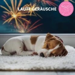 ADAPTIL Junior Halsband Anti Stress Erziehungshalsband 19 ADAPTIL Junior Halsband Anti Stress Erziehungshalsband -Zoofachgeschäft db33920bc3d21bba892bdb530582f20170b9cd84 1287044 9