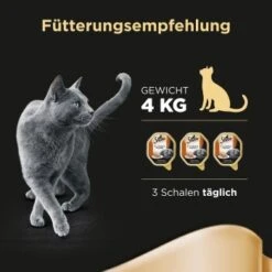 Sheba Classics In Pastete 22x85g Mit Ente & Huhn -Zoofachgeschäft db3ddb8a2d5a3d236d7dcc9f93be382078be15f4 cfab620511bd0eb34d47d0f7770d3ab65b34729a