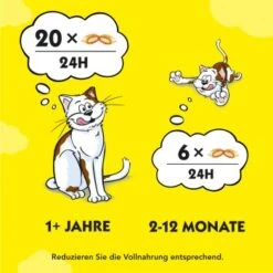 Dreamies Snack-Vielfalt 12x60g -Zoofachgeschäft e1b190f4f53100ff83c0fb6481ba747fb1f78bad 1297459 2