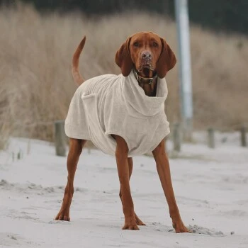 THE DOG IDEA Bademantel Every Beige XXXS 3 THE DOG IDEA Bademantel Every Beige XXXS – Bild 3