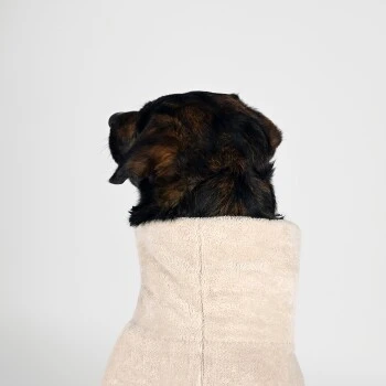 THE DOG IDEA Bademantel Every Beige XXXS 5 THE DOG IDEA Bademantel Every Beige XXXS – Bild 5