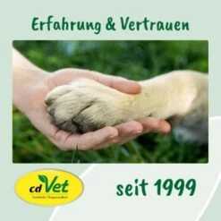 Fell & Haut Vital 150 G -Zoofachgeschäft e43eaf71ae161fbb37d73e6d99ceb091a86fef78 1049905 de DE 9de31ae422c889f65e12a1085ee6ba81b11de6a3saphta