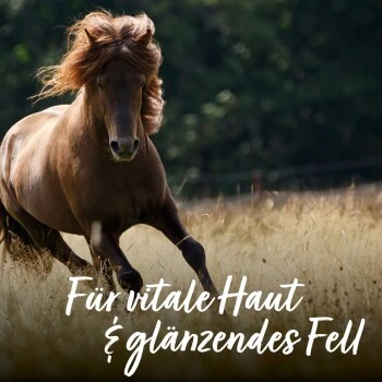 Aniforte Bierhefe Pulver 250 G 7 Aniforte Bierhefe Pulver 250 G – Bild 7