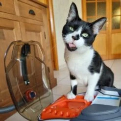 THOMAS Staubsauger -Zoofachgeschäft e924a64d06d1776c60effa6ed643bd7a6c20fdca 1406733 de DE 08e20bea72feee79416abcd48fd6e6a61e2fc6eav4kQrJ