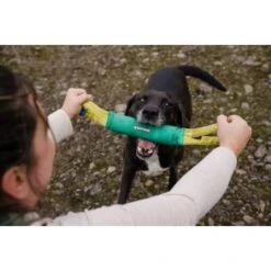 Ruffwear Pacific Loop™ Spielzeug -Zoofachgeschäft e936c628a710dab8494948a293deb058f553ae01 1364303 de DE 00b5c63cccd5cb6173233f699028b0326fbc1753ValC2q