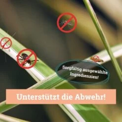 BeG Buddy Fellspray Zecke 11 BeG Buddy Fellspray Zecke -Zoofachgeschäft eb1ff1dcbcf1fb99bdfd79e45920199bae4b6f63 1457254 de DE 287d7d393bbc4424a21afe4f14bbe46350e68dd0MNLxrc