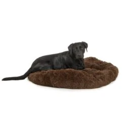 Wallace & Jones Plüschbett Sarnia M Braun 13 Wallace & Jones Plüschbett Sarnia M Braun -Zoofachgeschäft eded511b68ed9015eaff2077a6b669002854f714 1371486 de DE fd86e10898f57e8b7bd22cdaddd6a5923d7b28e2iGVWqQ