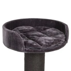 Canadian Cat Company Kratzbaum Carleton Anthrazit -Zoofachgeschäft efbdf37204e912ab023ff794d5269e8b2c8d80b8 1378658 de DE f9a0f6f920248eb809a13e4798eebcf60579d262lGMA3V