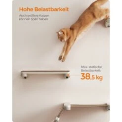 FEANDREA 3st. Clickat Katzenbrett Für Die Wand -Zoofachgeschäft eff0845c1d39f1df06ac9b2fea5543f13b924fe7 1681458 de DE 49f3284dc1e7752ec473d61a07cc5870214b52015wNOhn