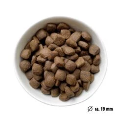 Eat Small EatSmall 2x10kg Trockenfutter Active Maxi -Zoofachgeschäft f029f79ebd1150d7eaef1707c6fefae845d8bae1 1492082 de DE 7be7b6abbd10a501ad4eda906b0ca458956766a1l3FEXb