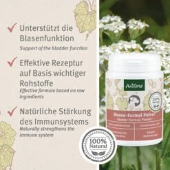 Aniforte Blasen-Formel 100 G -Zoofachgeschäft f420a25deefbf72e6eabb273c435ac9f0e670273 1422215 de DE 26e5608ad6523d0c076b9df136d15cda829d1a7fSjIFSG