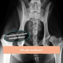 BeG Buddy Gelenk Fit Tabletten -Zoofachgeschäft f4b9d51f2e78d12f2ca2a2fe6ae9f754ebede26e 1457251 de DE d18aefeba3109b170fc6ce5df4353512cf27c799DQ6Cd3