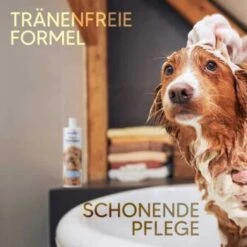 Pawlie's Welpenshampoo -Zoofachgeschäft f56801adb1bee6d0b5fdd328d641fa773ce5d4c4 1626204 de DE 7b87b87a2e48e8c0e12b98c918c4d75b538aae40E5TfEc