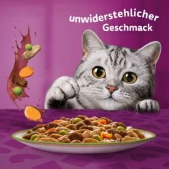 Whiskas Tasty Mix Multipack Chef's Choice In Sauce 40 X 85g -Zoofachgeschäft f6e2ae102927feafb9e342708a0412557690953c 1410720 de DE Whiskas 6