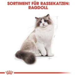 ROYAL CANIN Ragdoll Adult 10 Kg -Zoofachgeschäft f8b811f9eab7202e49f7b235d6a595fa348bbbaf bb5e5e0f36d3d37fdca6dd70ac412f733832df15