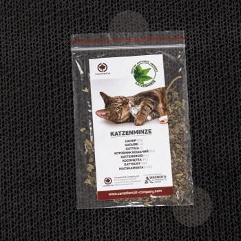 Canadian Cat Company Kratzbrett Comet XL Schwarz 3 Canadian Cat Company Kratzbrett Comet XL Schwarz – Bild 3