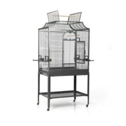 Montana Cages Voliere Madeira II Dunkelgrau -Zoofachgeschäft f9ba3b75dcc199650ff2b811f5845784a98ed4fc 1011602 de DE 17e57bead13fc4a3c95e8001e2e65e9ec98959abedP2PP