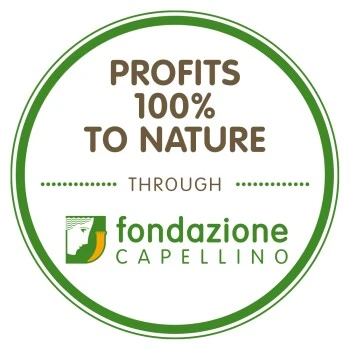 Almo Nature Kitten 24x70g 3 Almo Nature Kitten 24x70g – Bild 3