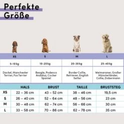 STUCH Geschirr Hund Gepolstert Schwarz XS -Zoofachgeschäft faead16826f5716adb76ac8b6986319f92d9537c 1410595 de DE c7d10043cfc3a8cb4000a14b28c9e8ccaa90c0d7I1BbrZ