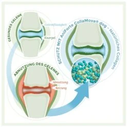 Aniforte CollaMove Kollagen Dog 250 G 11 Aniforte CollaMove Kollagen Dog 250 G -Zoofachgeschäft fbf5a9dc08423de08f5c9740ea99fa2e524d47dc 1457284 de DE 93f83ccbd87110a8284ed4e38cb6148f2a1dc492cVu2P6