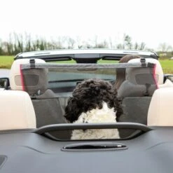 KONG Vordersitzbarriere 12 KONG Vordersitzbarriere -Zoofachgeschäft ff5dbde9995c56c34bbe7bc5016592f3adbb7bc3 2f73ce2132082534f311b2977a78cc14a0a72f3e